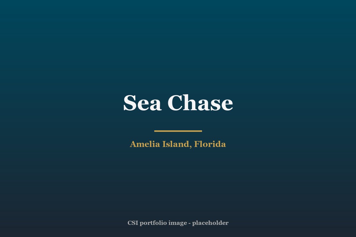 Sea Chase