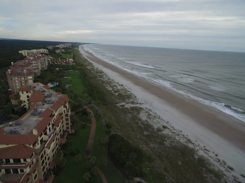 Sea Dunes