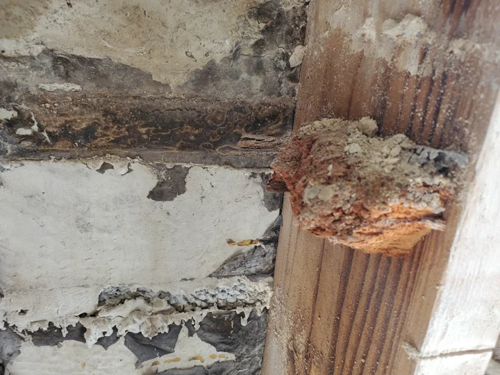 Deteriorated weather barrier exposed behind the exterior finish.