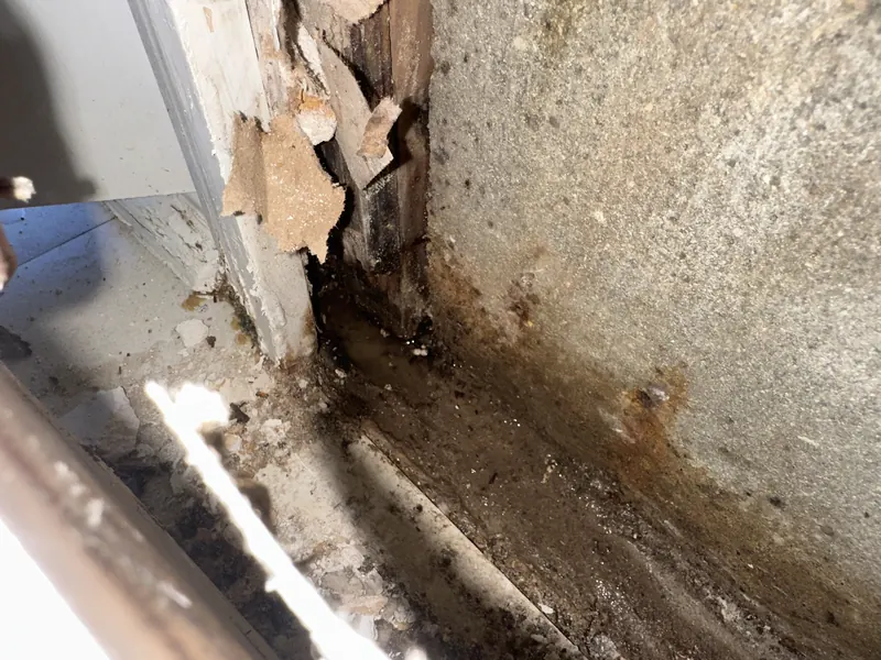 Opened wall cavity at a door jamb showing water staining and deteriorated materials after a water test